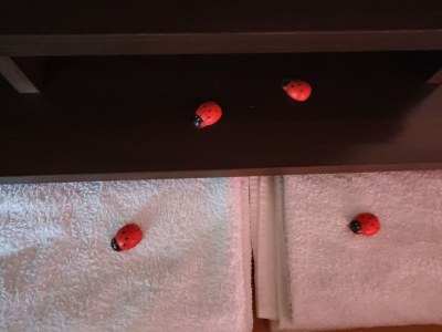 Apartment Viva Ve - Studio Apartment - Features photo 10