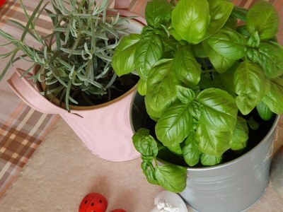 Apartment Viva Ve - Studio Apartment - Outdoor photo 14