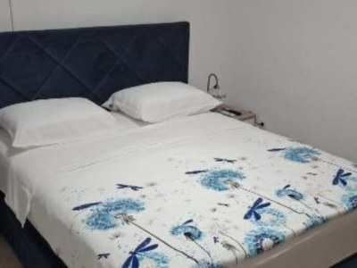 Apartment Studio Apartment Sineva - Features photo 4