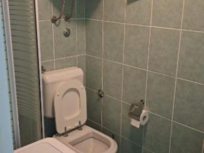 Apartment Studio Apartment Sineva - Features photo 6