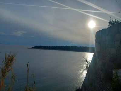 Apartment Guest House Green Corner Supetarska Draga - Triple Room with Terrace and Sea View - Outdoor photo 12