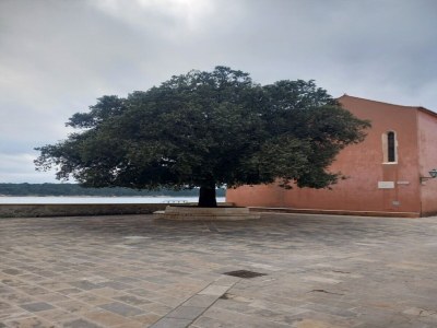 Apartment Guest House Green Corner Supetarska Draga - Triple Room with Terrace and Sea View - Outdoor photo 21