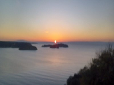 Apartment Guest House Green Corner Supetarska Draga - Triple Room with Terrace and Sea View - Outdoor photo 23