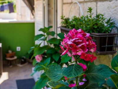 Apartment Apartments and Room Frane - Double Room - Outdoor photo 4