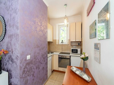 Apartment Apartments and Room Frane - Studio with Terrace - Features photo 10