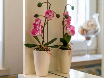 Apartment Apartments and Room Frane - Studio with Terrace - Outdoor photo 29