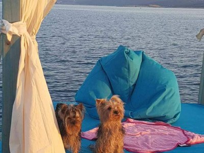 Apartment Villa Mery - Bedroom with Balcony and Sea View - 5 - Outdoor photo 21