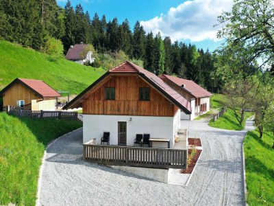 Villa Mountain View Villa with Sauna and Hot-Tub - Three Bedroom Villa with Sauna and Hot-Tub in Eibiswald - Villa