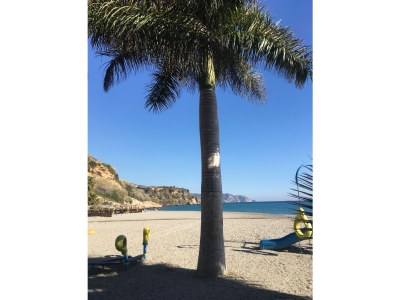 Holiday house San Juan Terrace - Environment photo 24