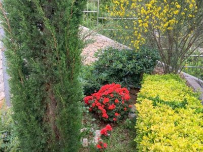 Villa Beachfront Luxury Villa with Private Pool and Stunning Sea Views - Outdoor photo 9