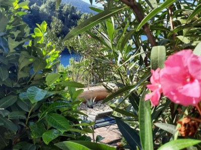 Villa Beachfront Luxury Villa with Private Pool and Stunning Sea Views - Outdoor photo 11