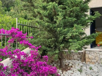 Villa Beachfront Luxury Villa with Private Pool and Stunning Sea Views - Outdoor photo 14