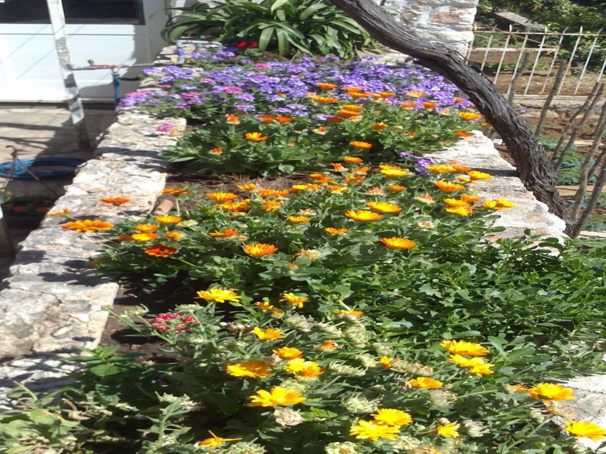 Apartment Apartments Lucija - One Bedroom Apartment with Terrace - Outdoor photo 2