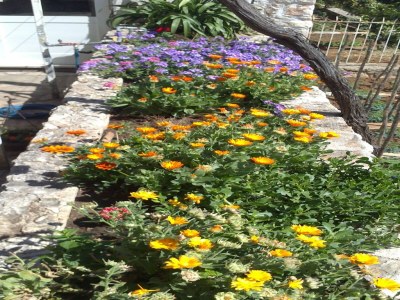 Apartment Apartments Lucija - One Bedroom Apartment with Terrace - Outdoor photo 2