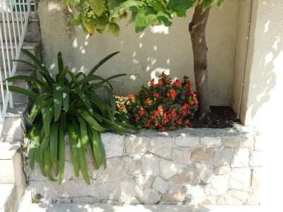 Apartment Apartments Lucija - Two Bedroom Apartment with Balcony and Sea View in Mokošica - Apartment