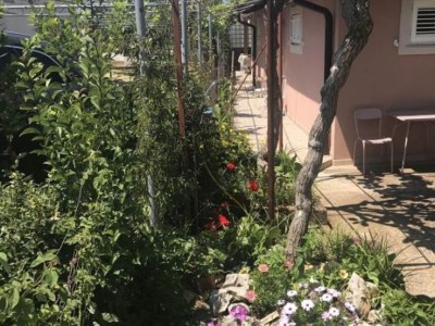 Apartment Apartmani Stefanija - Studio With Garden View - Outdoor photo 4