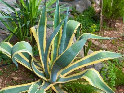 Holiday house Beach House - 2m from beach - Three Bedroom House - Outdoor photo 5