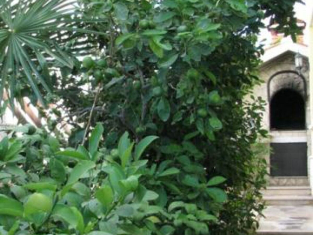 Apartment Apartments Milakovic-Kanica - Standard One Bedroom Apartment with Sea View and Terrace - Outdoor photo 4