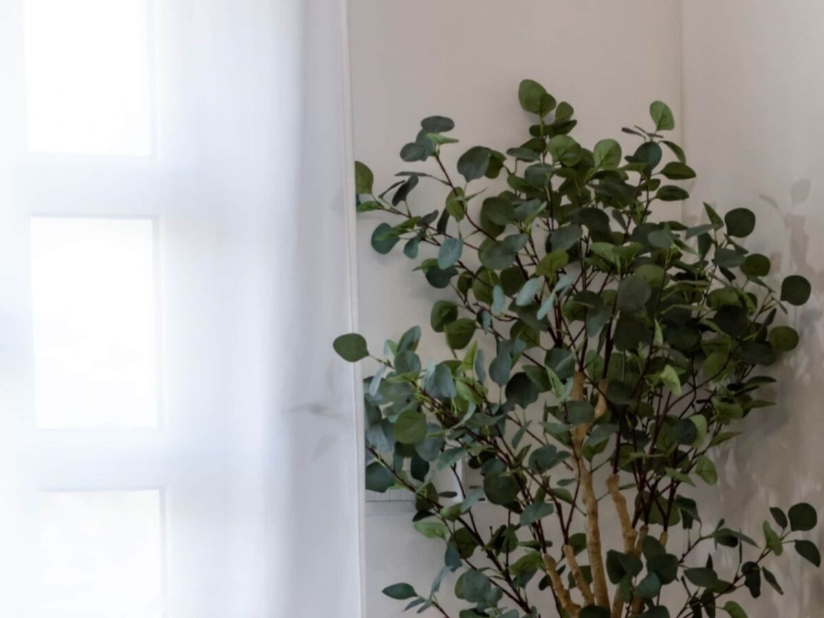 Villa Villa Eden Dubrovnik - Six Bedroom Villa - Outdoor photo 5