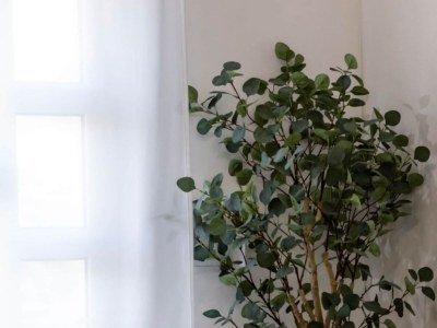 Villa Villa Eden Dubrovnik - Six Bedroom Villa - Outdoor photo 5