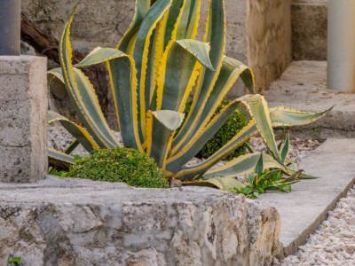 Villa Villa Eden Dubrovnik - Six Bedroom Villa - Outdoor photo 8