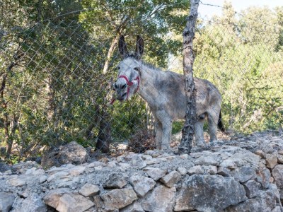 Finca Casa De Piedra - Environment photo 23