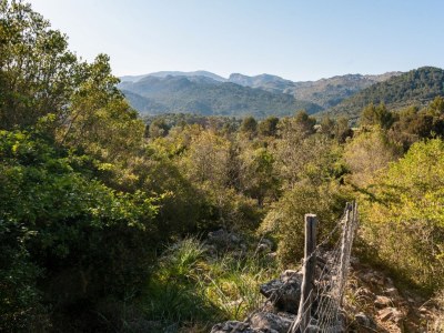 Finca Casa De Piedra - Environment photo 24
