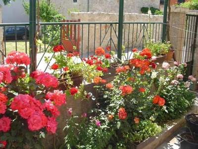 Apartment Apartments A&N Pakoštane - Two Bedroom Apartment with Sea View  (A2) in Pakostane - Apartment