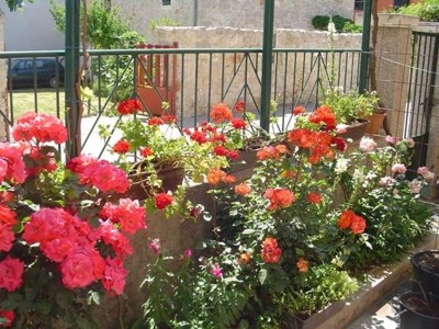 Apartment Apartments A&N Pakoštane - One Bedroom Apartment with Sea View and Balcony (A1) - Outdoor photo 18