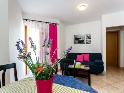 Apartment Comfortable and Sunny Krk Apartment - One Bedroom Apartment with Terrace - Features photo 10