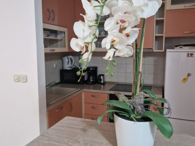 Apartment Apartment Antonia Trogir - Two-Bedroom Apartment With Sea View - Features photo 10