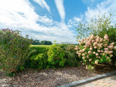 Holiday house Lovely holiday home in Julianadorp - Outdoor photo 20
