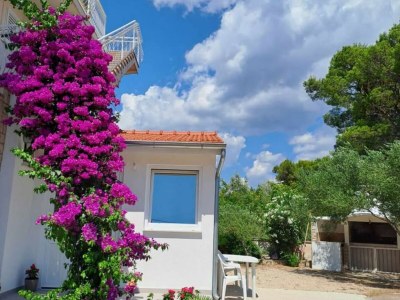 Apartment Apartments Dana - Two Bedroom Apartment 1 in Vodice - Apartment