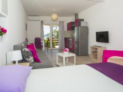 Apartment Sea View Apartments Lendic Podgora - Superior Studio Apartment with Terrace and Sea View - Features photo 3