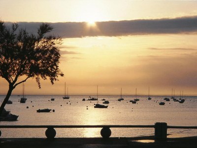 Holiday house Country Home on Bay of Arcachon - Environment photo 9