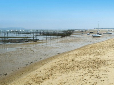 Holiday house Country Home on Bay of Arcachon - Environment photo 11