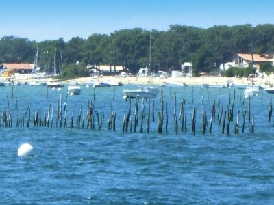 Holiday house Country Home on Bay of Arcachon - Environment photo 12