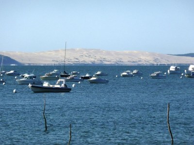 Holiday house Country Home on Bay of Arcachon - Environment photo 13