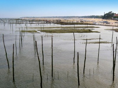 Holiday house Country Home on Bay of Arcachon - Outdoor photo 15