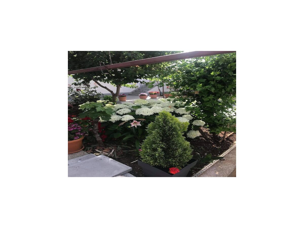 Apartment Apartments Villa Tanja - Two Bedroom Apartment with Terrace - Outdoor photo 4