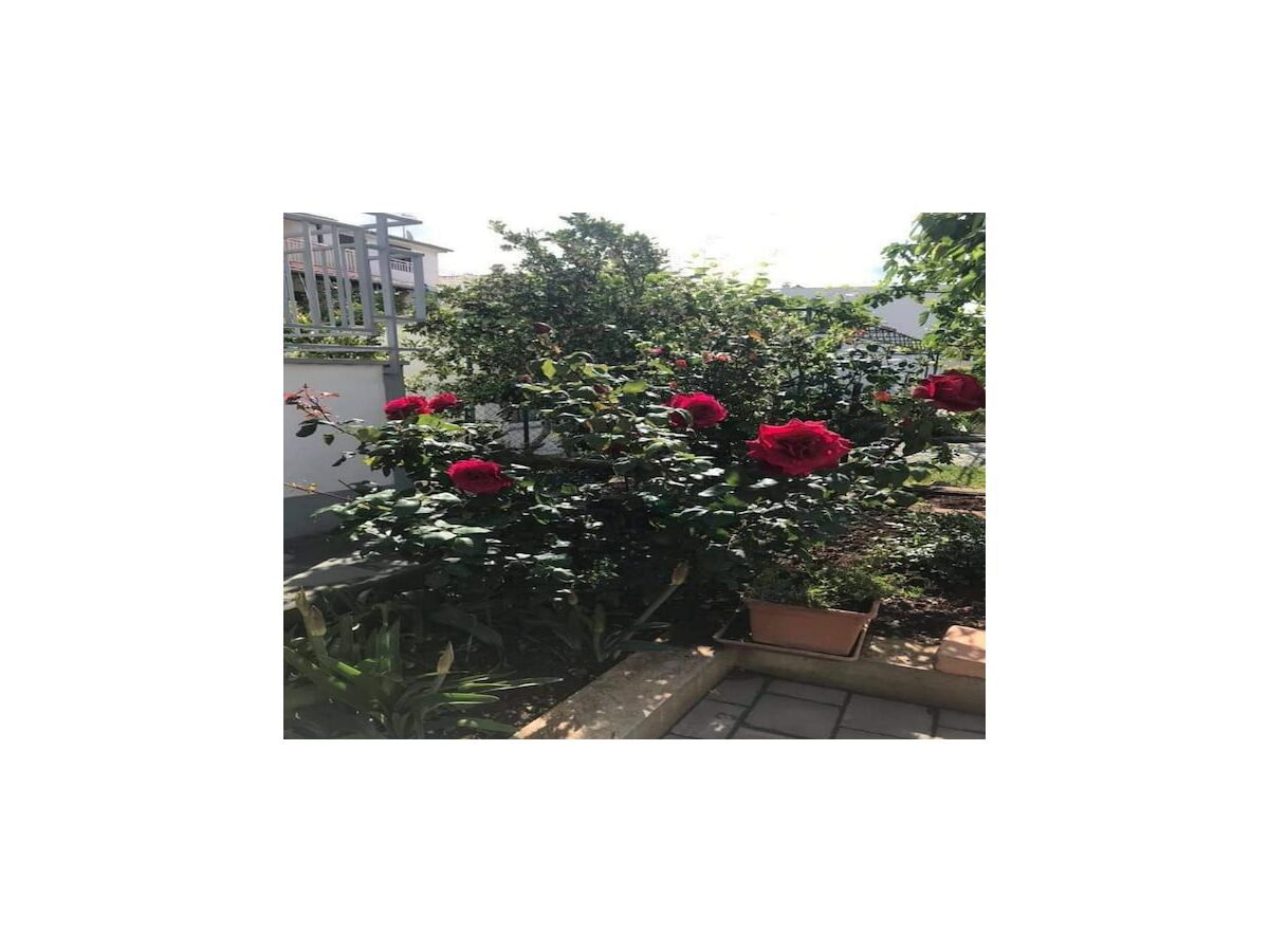 Apartment Apartments Villa Tanja - Two Bedroom Apartment with Terrace - Outdoor photo 5