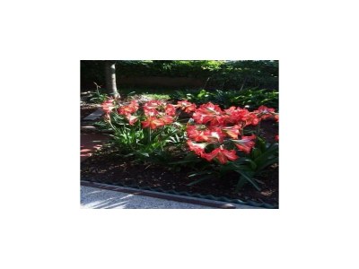 Apartment Apartments Villa Tanja - Two Bedroom Apartment with Terrace - Outdoor photo 9