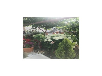 Apartment Apartments Villa Tanja - Two Bedroom Apartment with Terrace - Outdoor photo 11