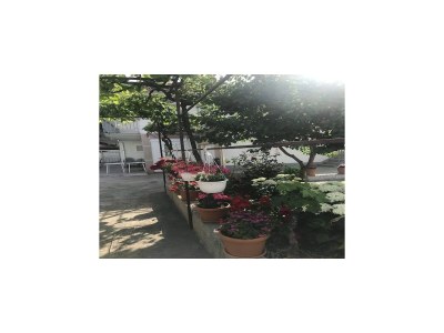 Apartment Apartments Villa Tanja - Two Bedroom Apartment with Terrace - Outdoor photo 18