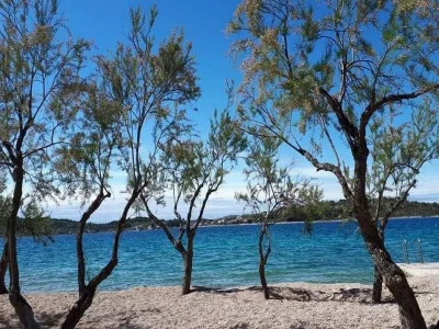 Apartment Apartments Villa Tanja - Two Bedroom Apartment with Terrace - Outdoor photo 24