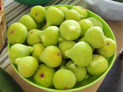 Apartment Apartments Villa Tanja - Two Bedroom Apartment with Terrace - Outdoor photo 25