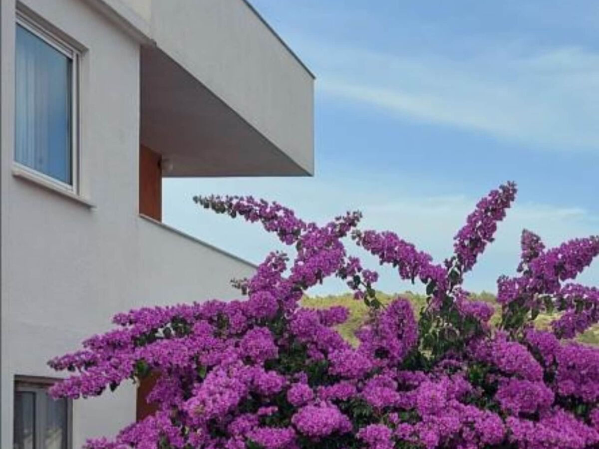 Apartment Apartmani Lucija - Three Bedroom Apartment - Outdoor photo 2