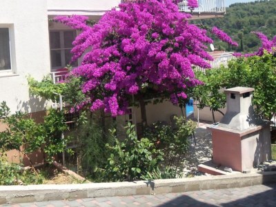 Apartment Apartmani Lucija - Three Bedroom Apartment in Trogir Area - Apartment