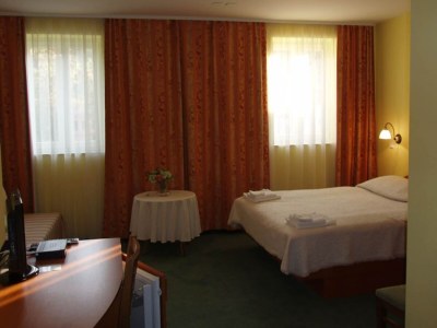 Apartment Klaudija’s Charming Apartments & Rooms - Room 6 - Features photo 13