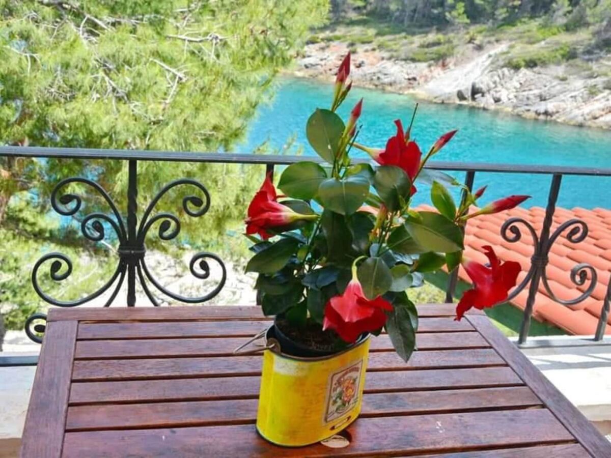 Apartment Name		 Bay House Rosohotnica - One Bedroom Apartment